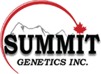 summit